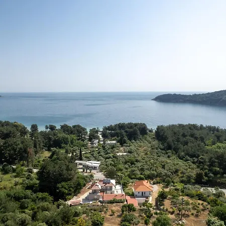 公寓 Alfa Boutique 基尼拉